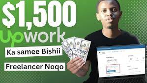 Noqo freelancer $1500 samee bishii upwork full course step by step